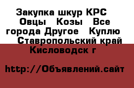 Закупка шкур КРС , Овцы , Козы - Все города Другое » Куплю   . Ставропольский край,Кисловодск г.